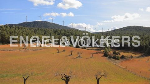 Parque eólico en producción con finca de recreo y caza, imagen 4
