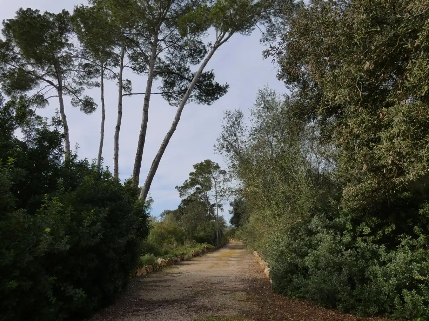 Casa o chalet en venta en Porreres