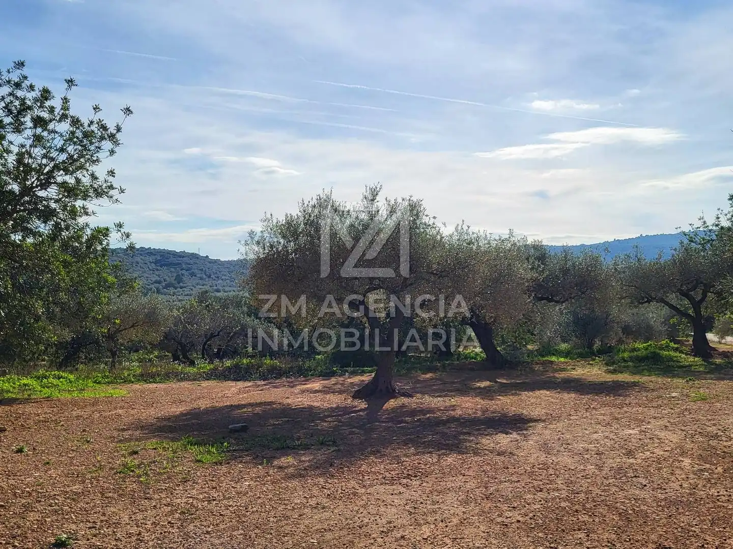 Terreno rustico in vendita a Traiguera, imagen 15