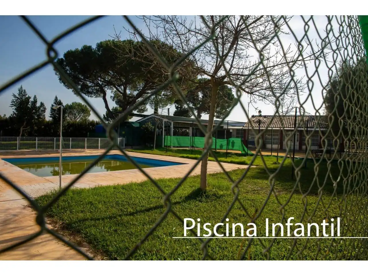 Piscina de Casa o chalet en venta en Carmona con Aire acondicionado, Calefacción y Jardín privado