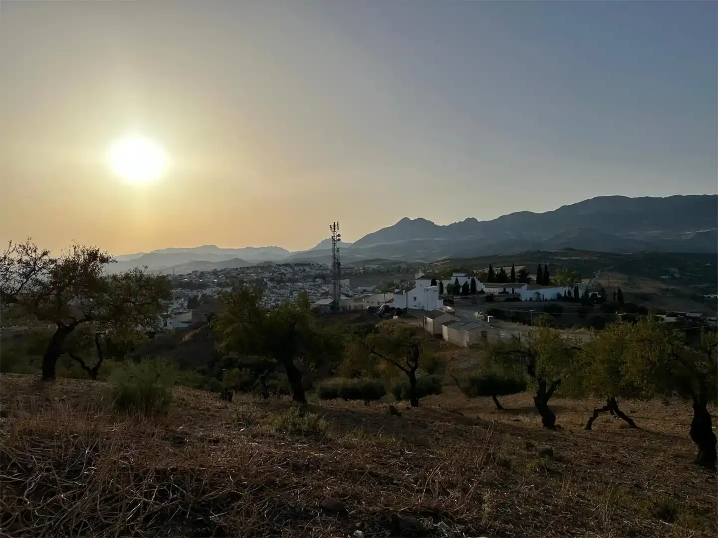 Vista exterior de Casa o xalet de lloguer en Colmenar amb Jardí privat, Moblat i Forn