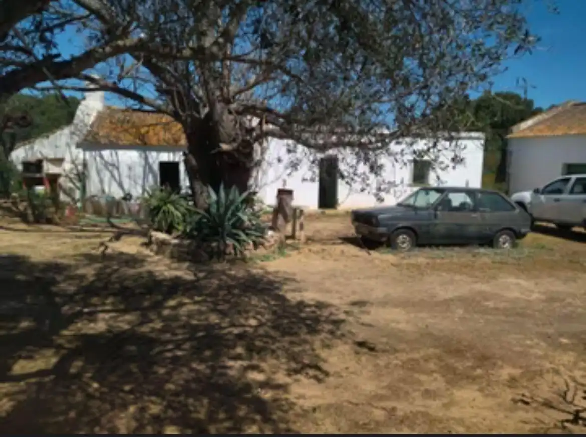 Vista exterior de Finca rústica en venda en Barbate