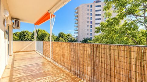 Foto 2 de Piso en venta en Palmanova, Calvià