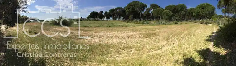 Finca rústica en venda en Almonte amb Terrassa i Moblat