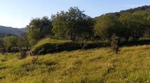 Foto 4 de Planta baixa en venda a Calle Mártires, 70, Zafra, Badajoz