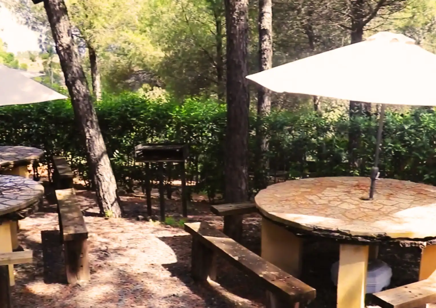 Garden of Buildings for sale in Calañas  with Community pool
