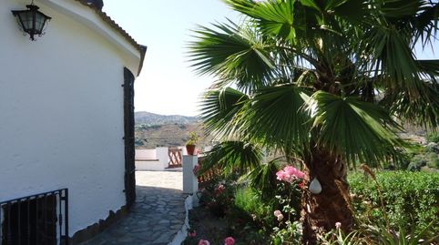 CHALET CON PISCINA Y PARCELA EN TORROX, imagen 3