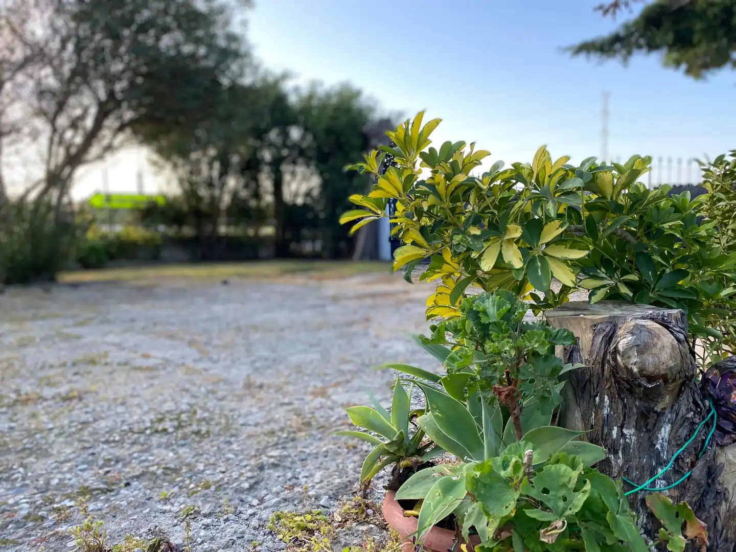Jardín de Casa o chalet en venta en Tarifa con Jardín privado, Terraza y Amueblado