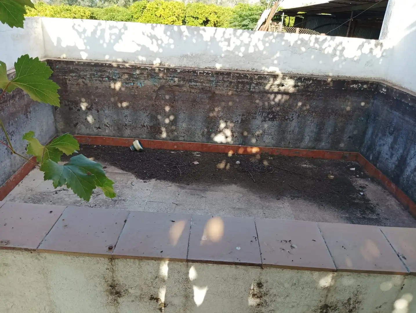 Jardín de Terreno en venta en La Algaba
