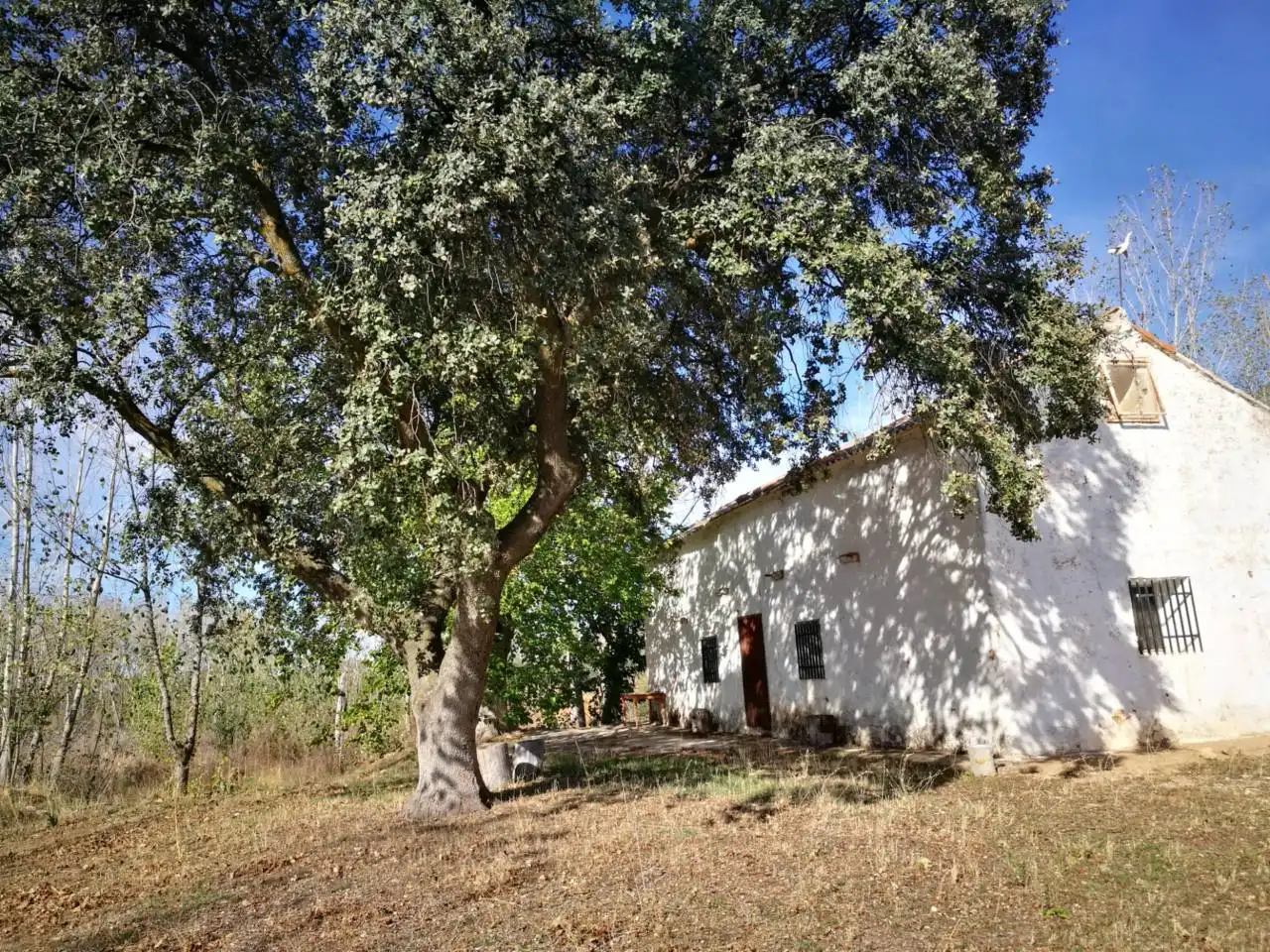 Grundstücke und Bauplätze zum Verkauf in Ctra de los Quiles, imagen 17
