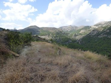 Terreny residencial en venda a Beniardà