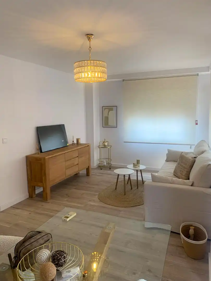Sala d'estar de Pis en venda en Alicante / Alacant amb Aire condicionat, Terrassa i Moblat