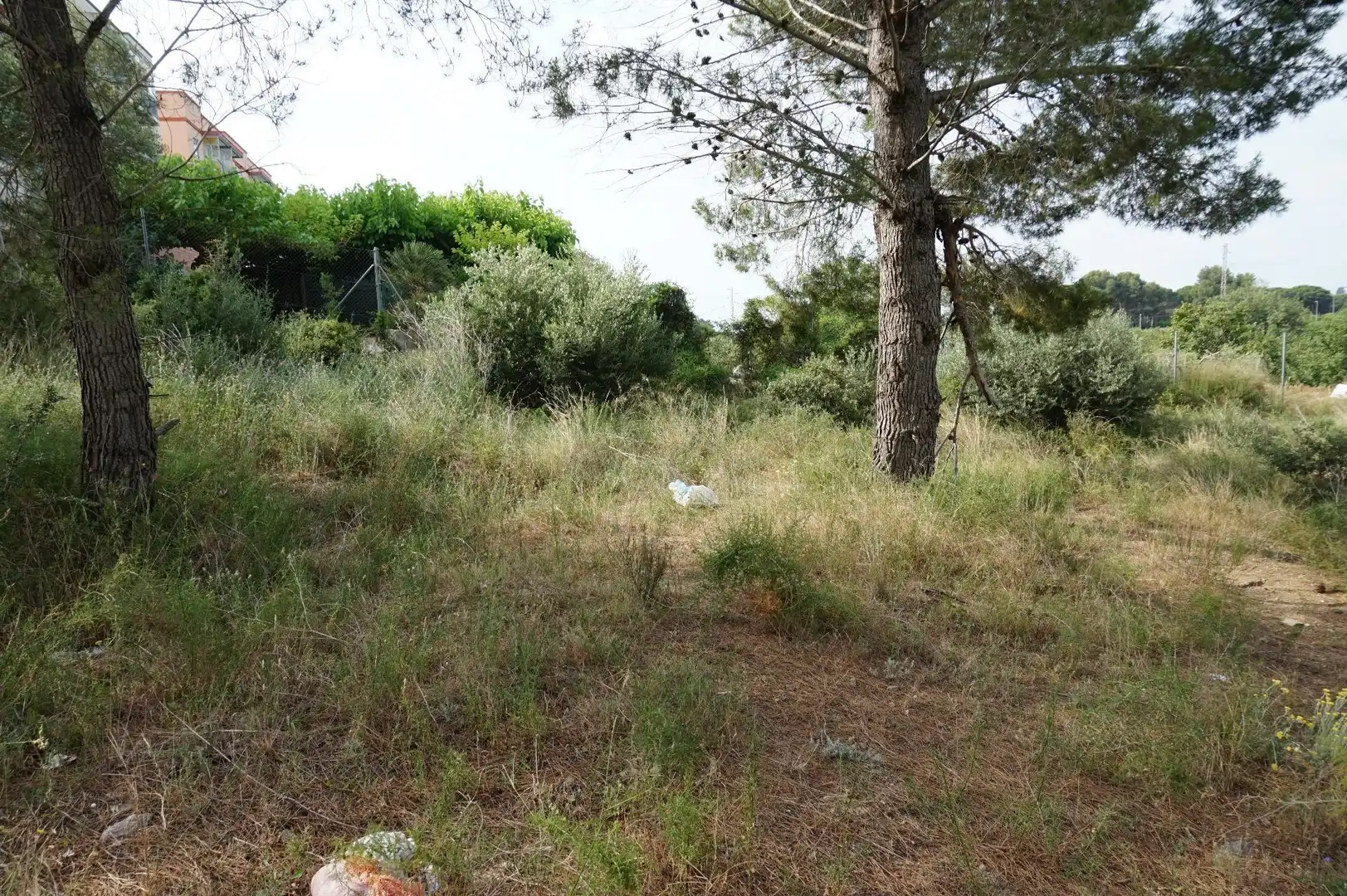 Maison rustique à vendre à Les Borges del Camp, imagen 13