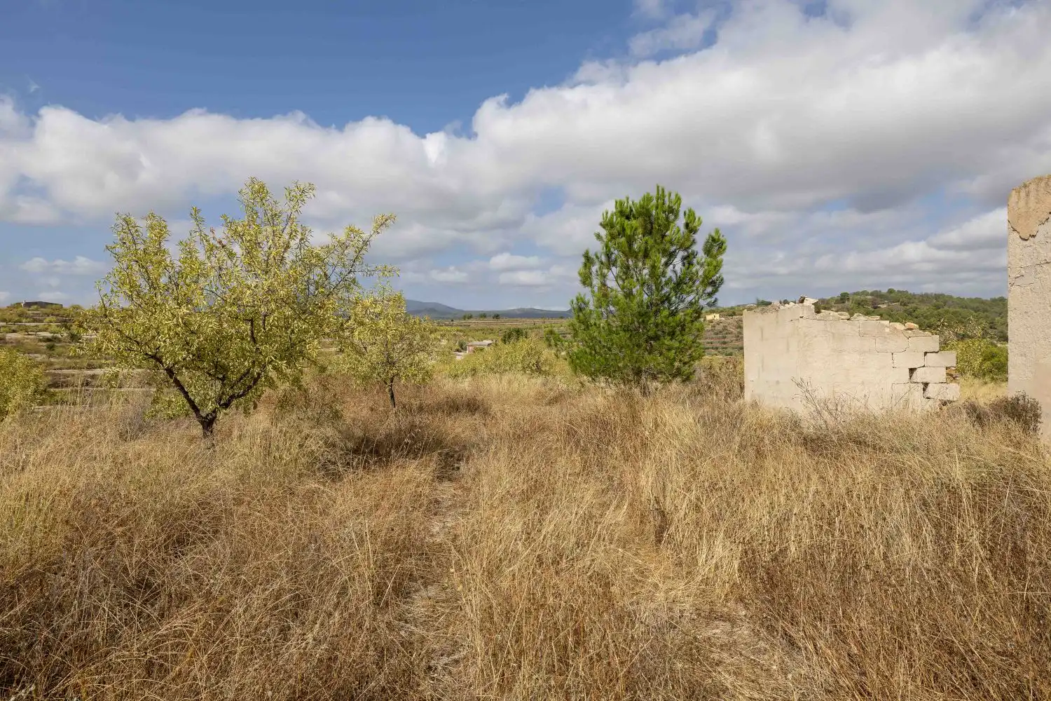 Finca rústica en venta en Mula