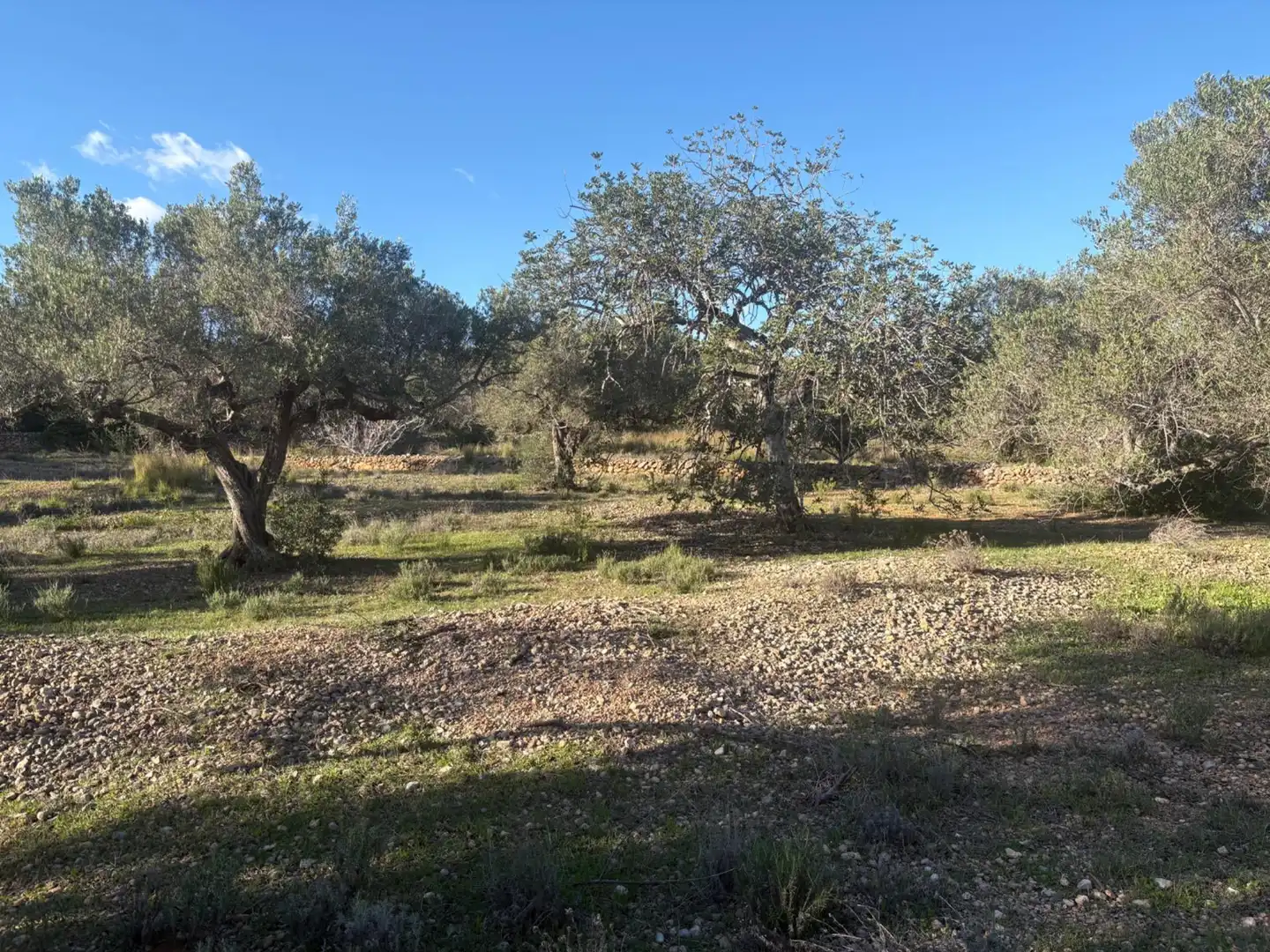 Casa en venta en L'Ampolla, imagen 28