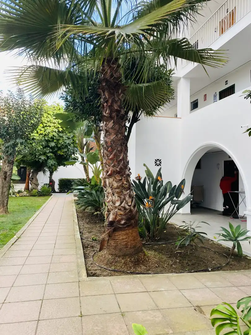 Appartamento con piscina in vendita a Selwo, imagen 7