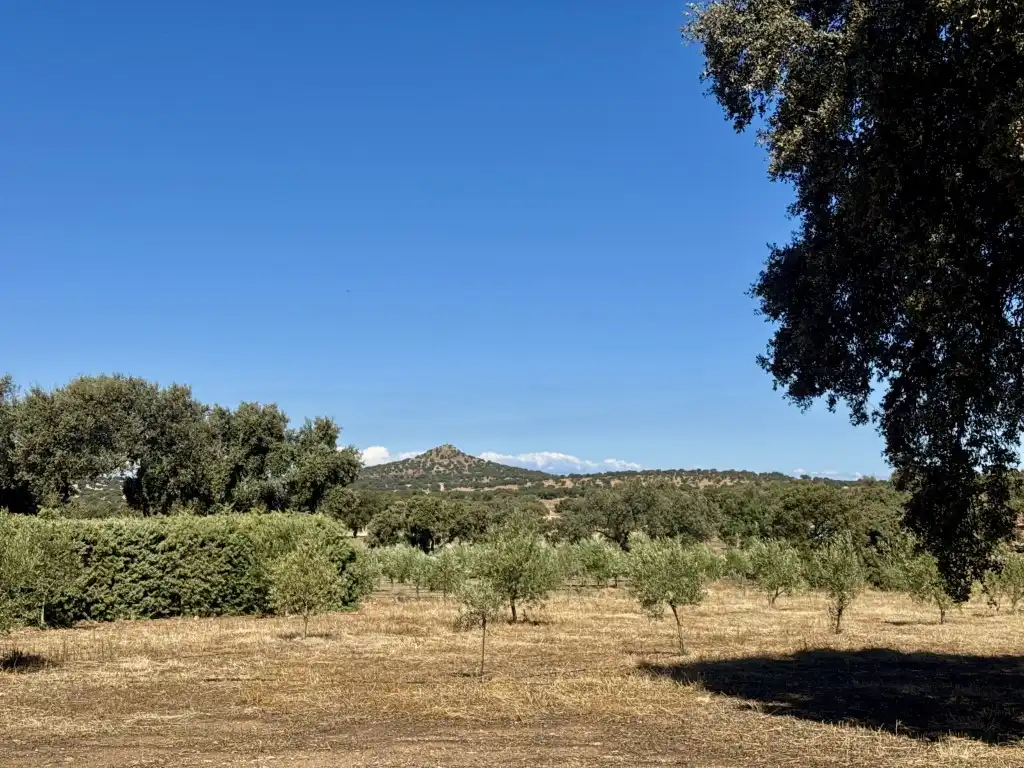 Country homes for sale in Zarza-Capilla, Badajoz