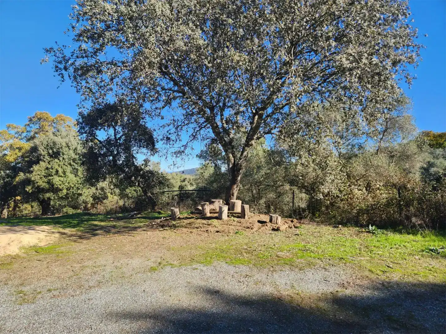 Piso en venta en Calera de León