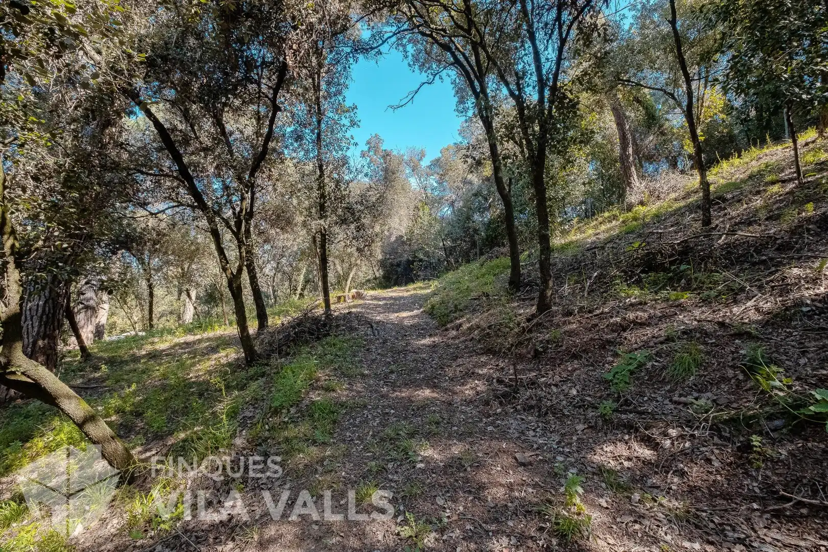 Vista exterior de Casa o chalet en venta en Caldes de Montbui con Aire acondicionado, Jardín privado y Terraza