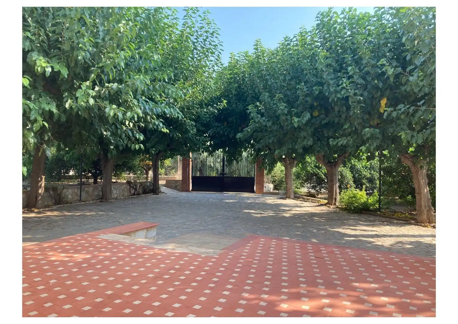 Finca rústica en venda en Alhama de Murcia amb Jardí privat, Terrassa i Traster