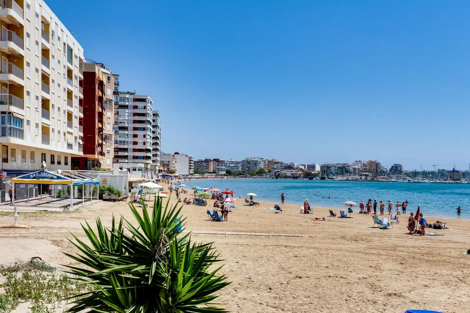 Casa o chalet en venta en Torrevieja con Jardín privado, Terraza y Trastero