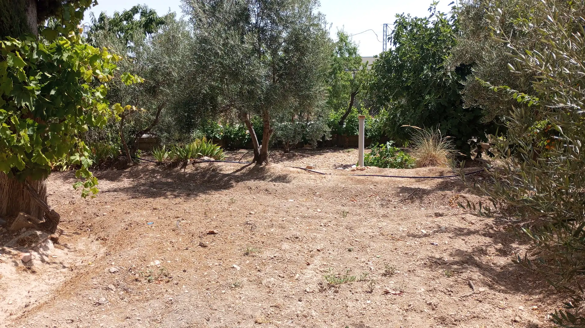Casa o xalet en venda en Baza amb Moblat