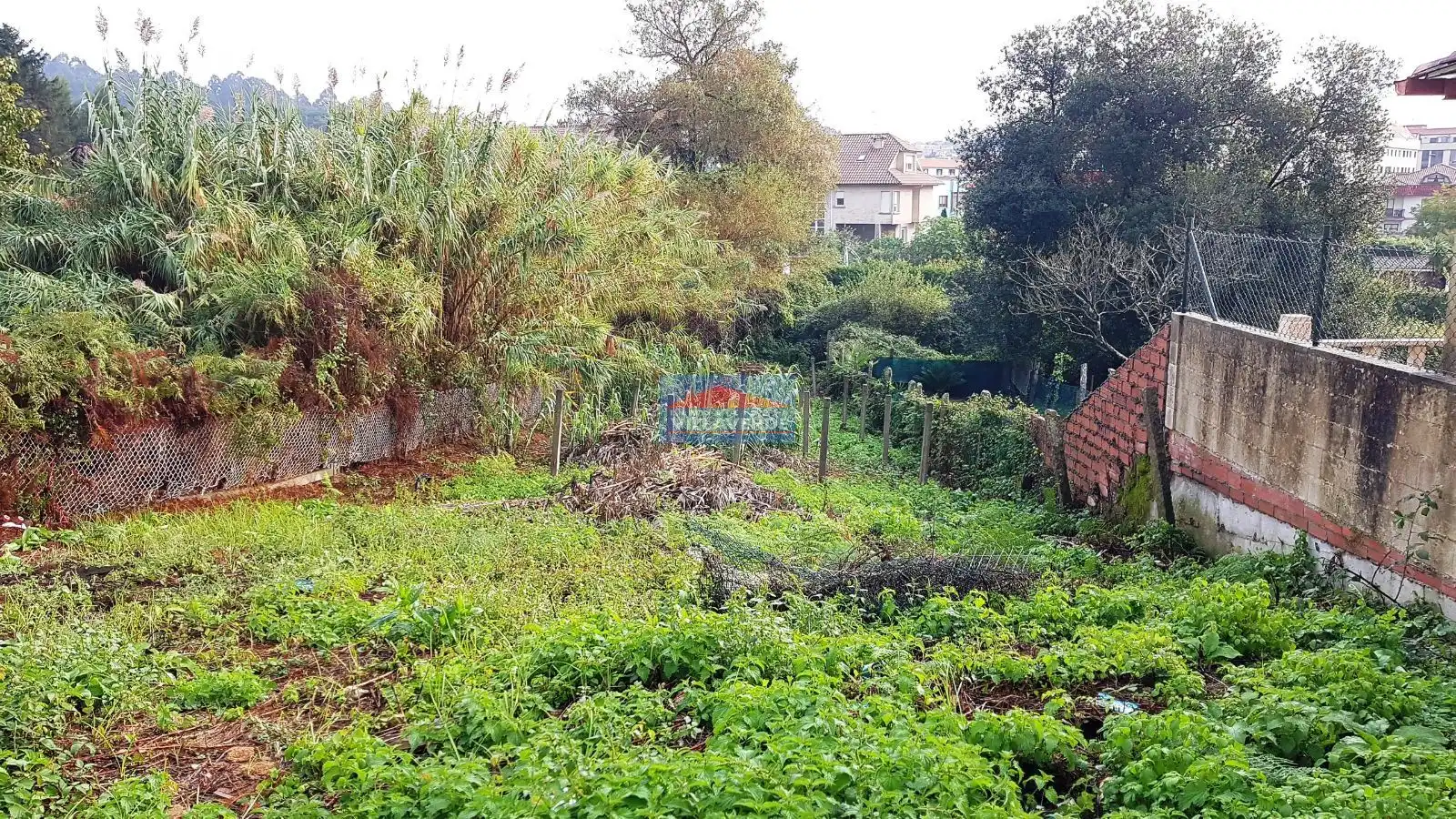 Maison à vendre à Coiro, imagen 3