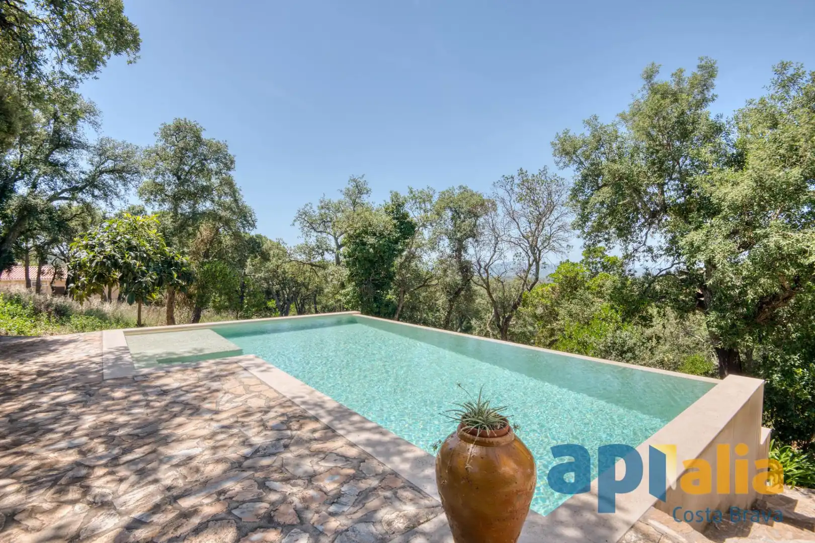 Swimming pool of Houses for sale in Santa Cristina d'Aro  with Terrace and Swimming Pool