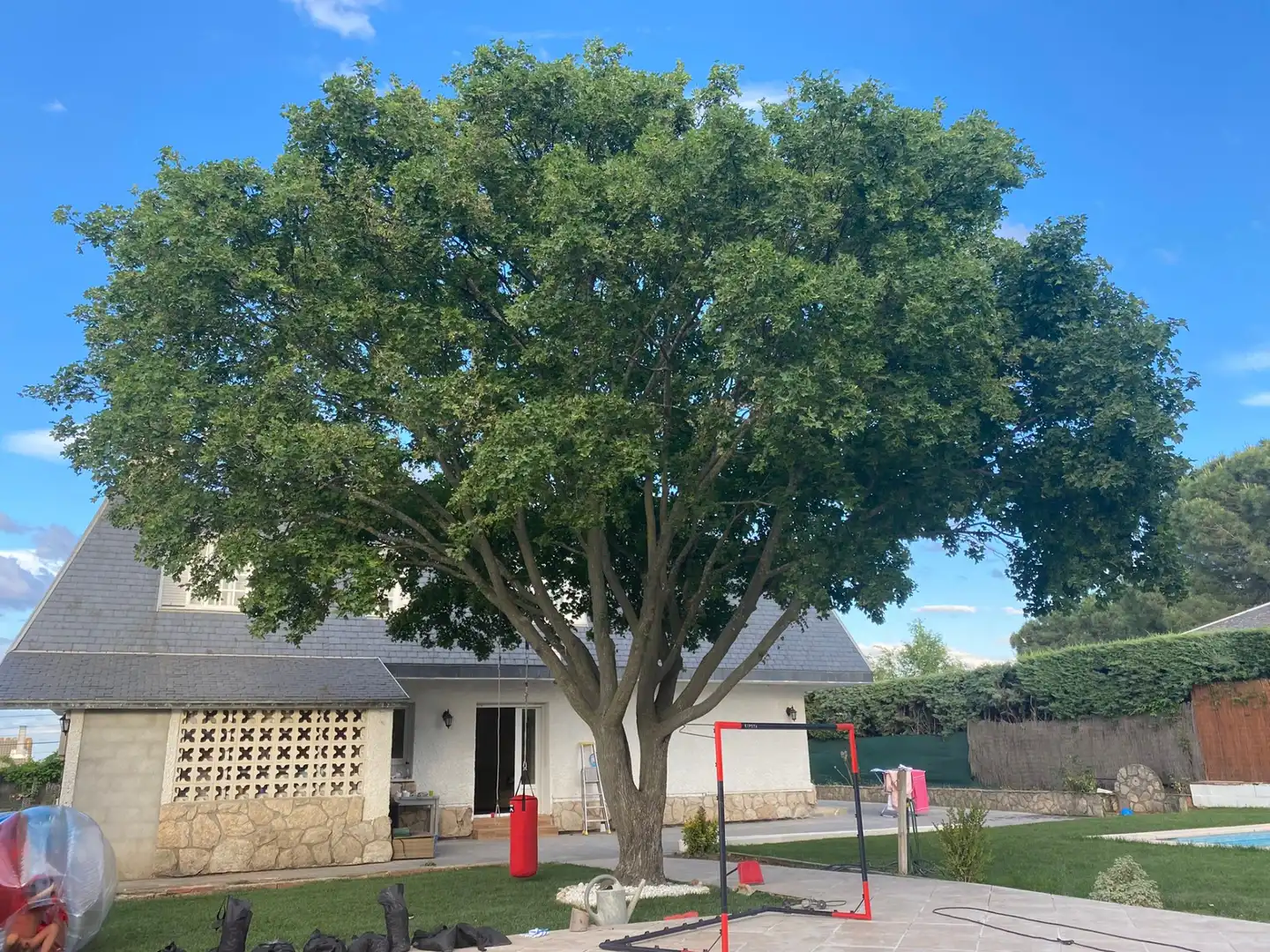 Vista exterior de Casa o chalet en venta en Algete con Aire acondicionado, Calefacción y Jardín privado