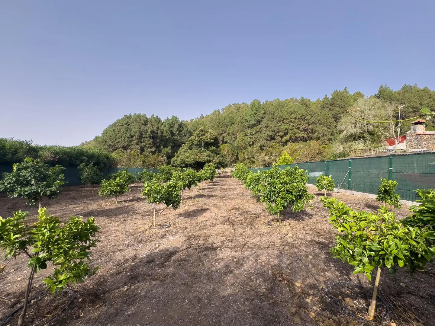 Finca rústica en venda en Icod de los Vinos