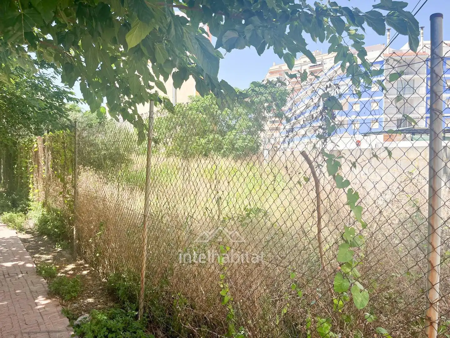 Terrenys i solars en venda a Avenida FARO DEL, imagen 4