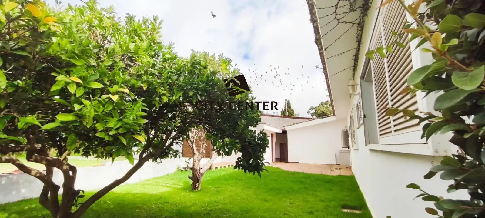 Exterior view of Houses for sale in Tacoronte  with Private garden and Terrace