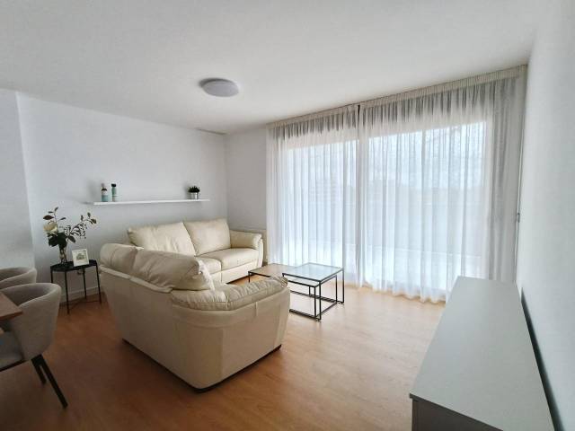 Piso en Alquiler en Viejo De Monteagudo en Zarandona