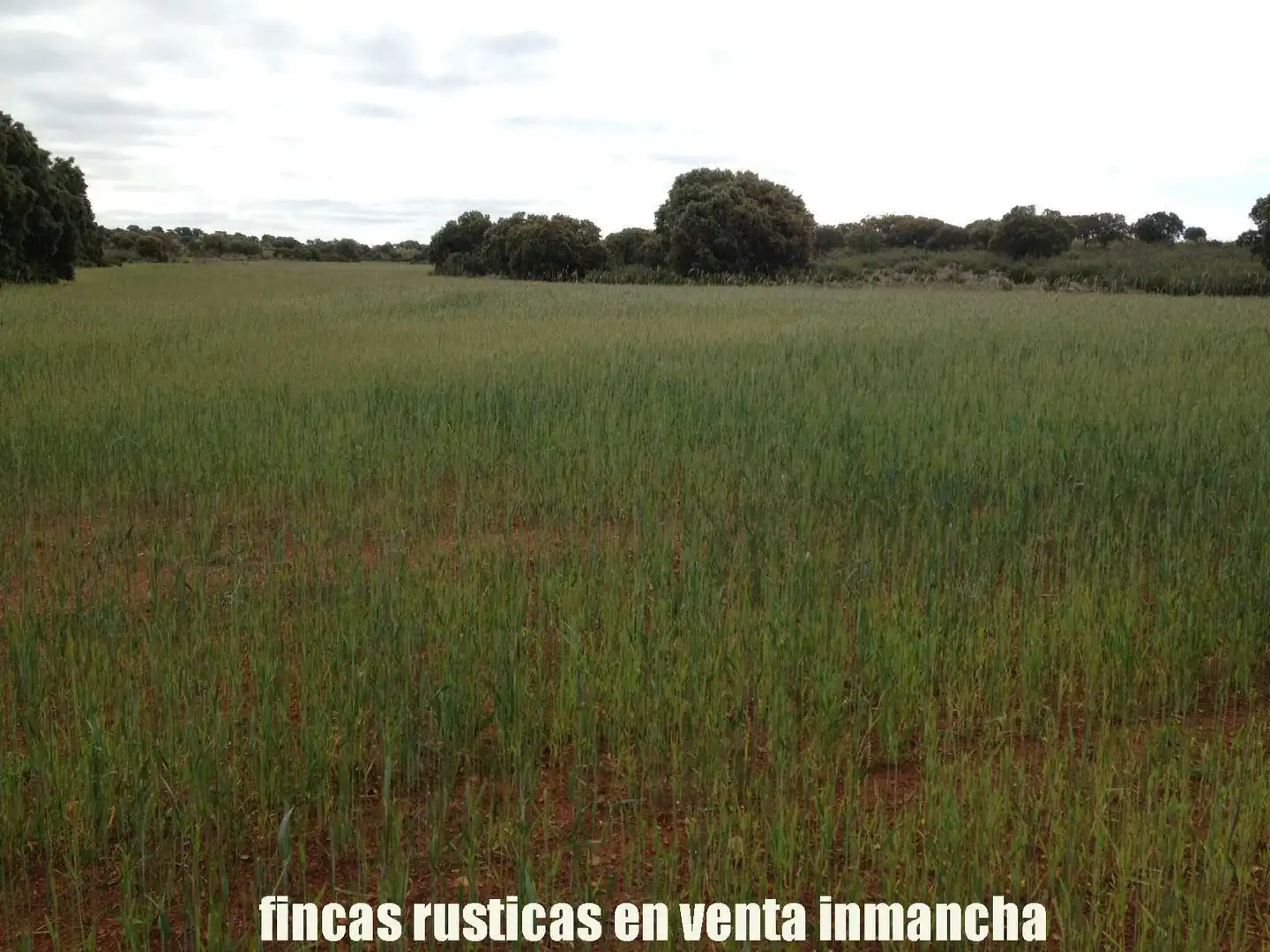 Terreno rustico in vendita a Ruidera, imagen 28