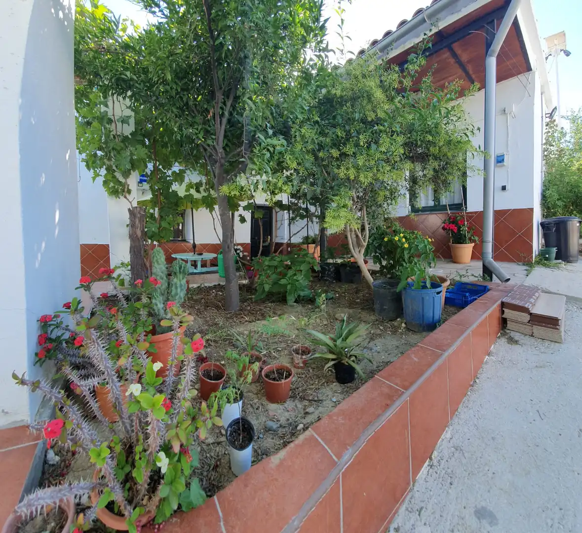 Terreno rustico in vendita a Casalpalma - Fahala, imagen 16