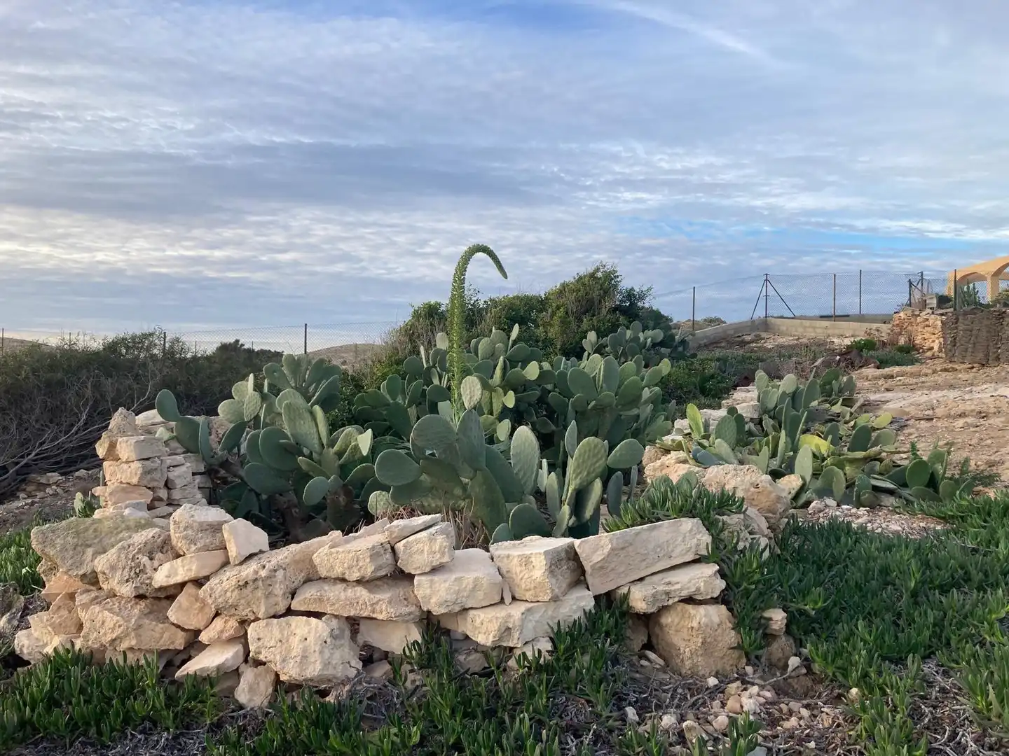 Jardí de Casa o xalet en venda en Alicante / Alacant amb Jardí privat i Terrassa