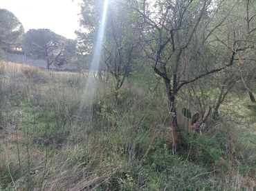 Terrenos y solares en venta en Castellbisbal