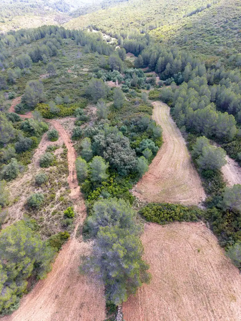 Maison rustique à vendre à Enguera, imagen 33