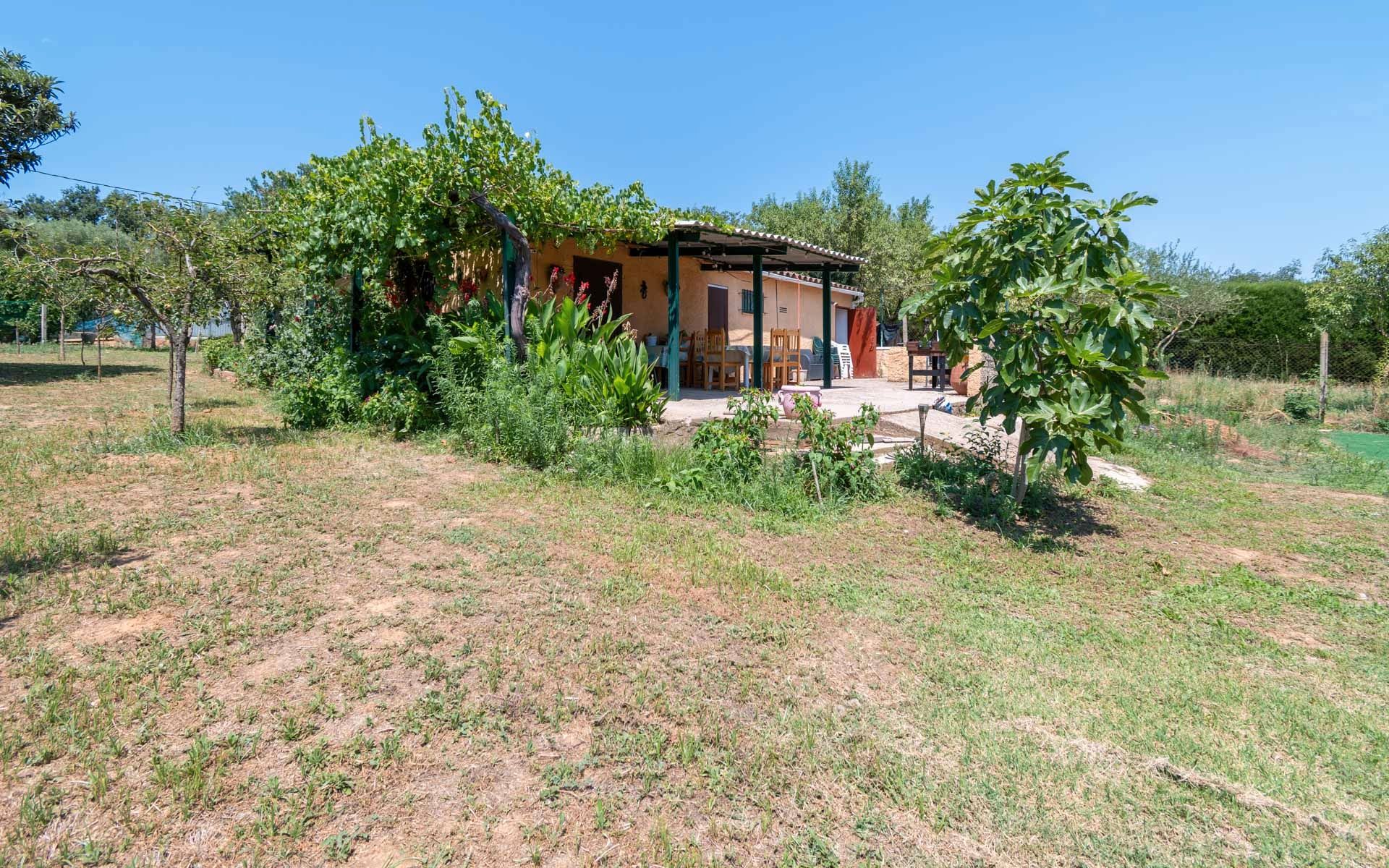 Garden of Residential for sale in Cruïlles, Monells I Sant Sadurní de L'Heura