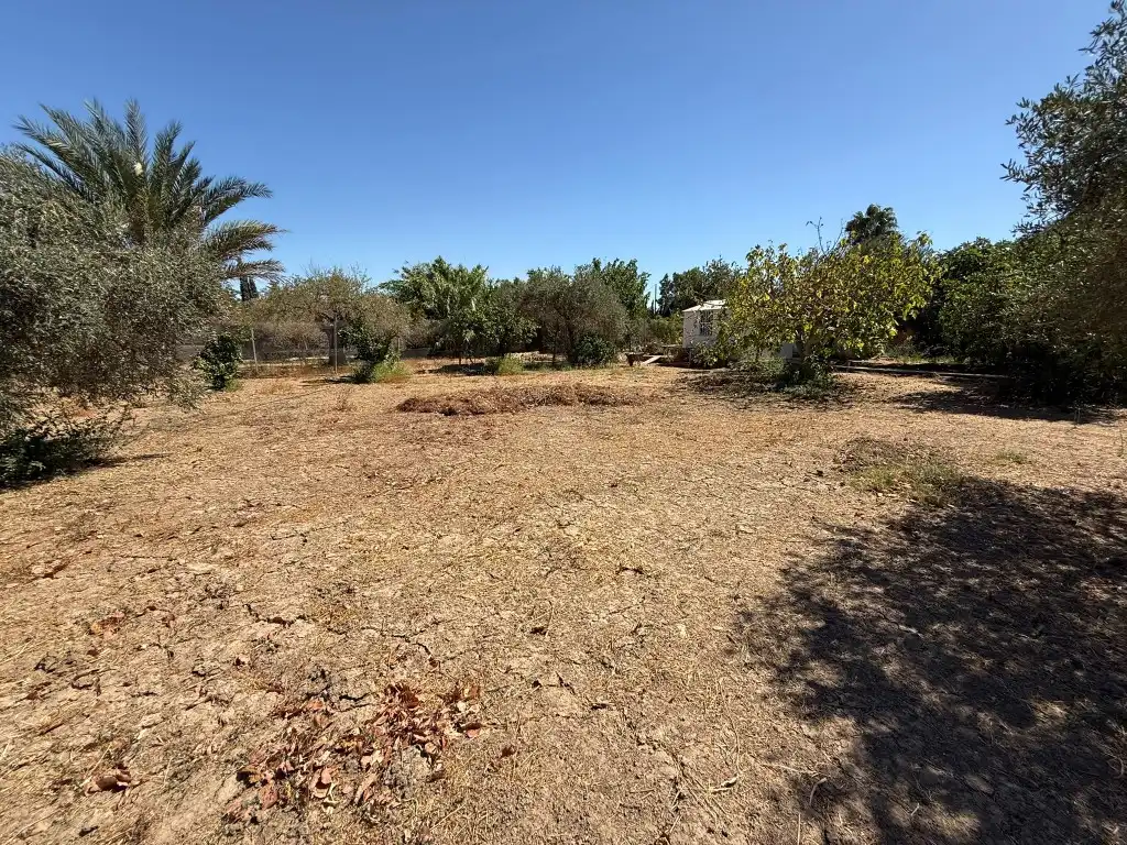 Casa rústica en venda a Urbanizacion Cañada Baja, imagen 41