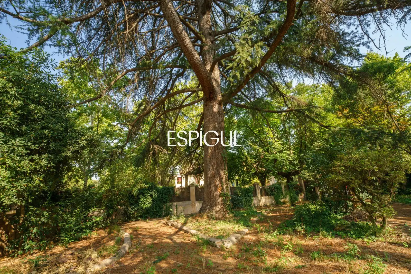 Casa en venda a Angel Guimerà, imagen 6