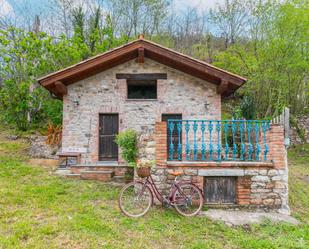 Vista exterior de Casa o xalet en venda en Amieva amb Terrassa