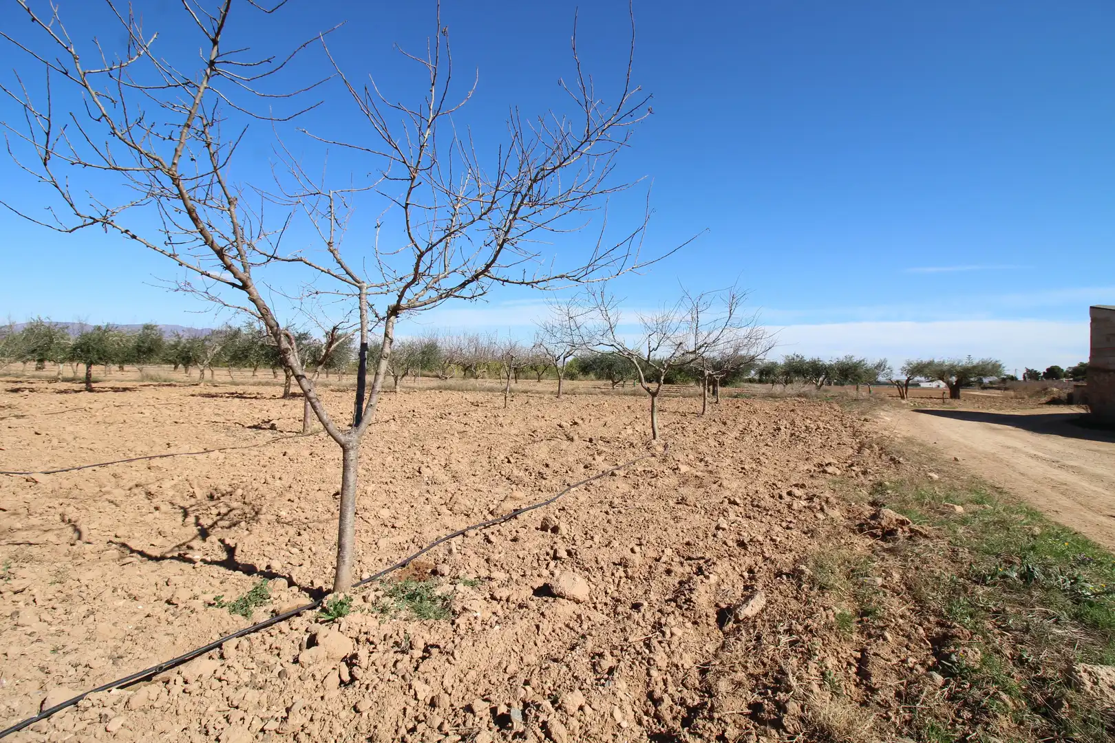 Casa amb jardí en venda a La Pinilla - Las Palas, imagen 30