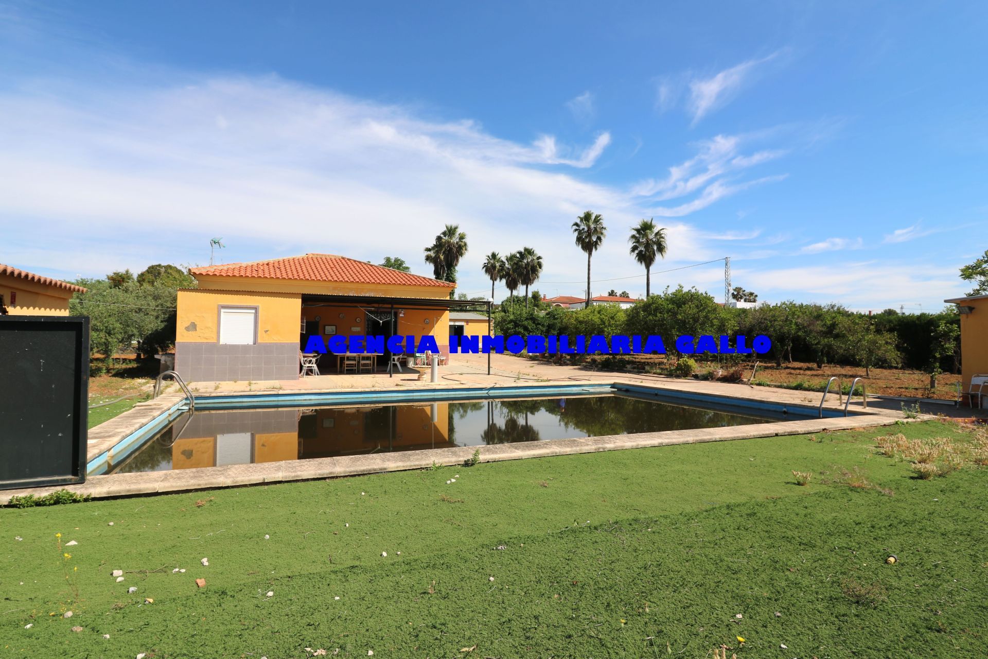 Piscina de Casa o xalet en venda en Arahal amb Aire condicionat, Jardí privat i Traster