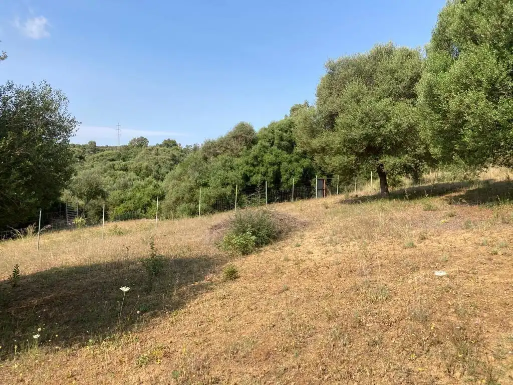 Finca rústica en venda en La Alcaidesa