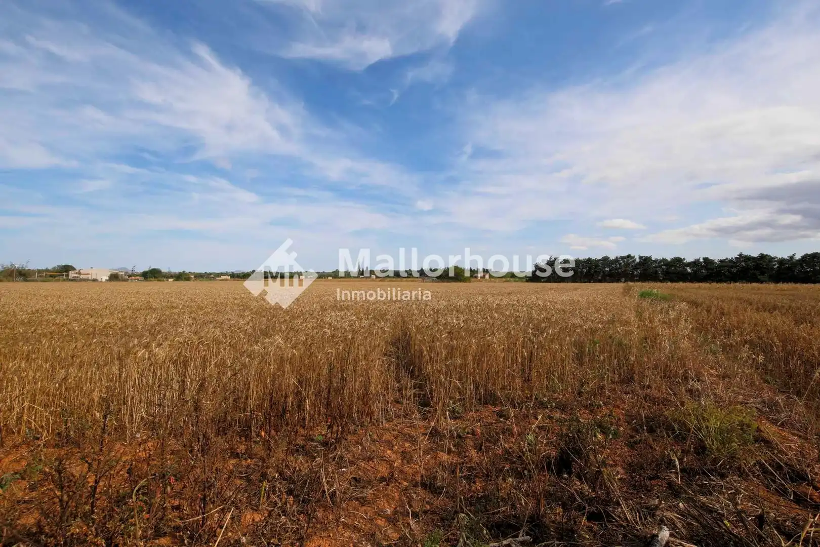 Lands and plots for sale in Polígono 10, imagen 8