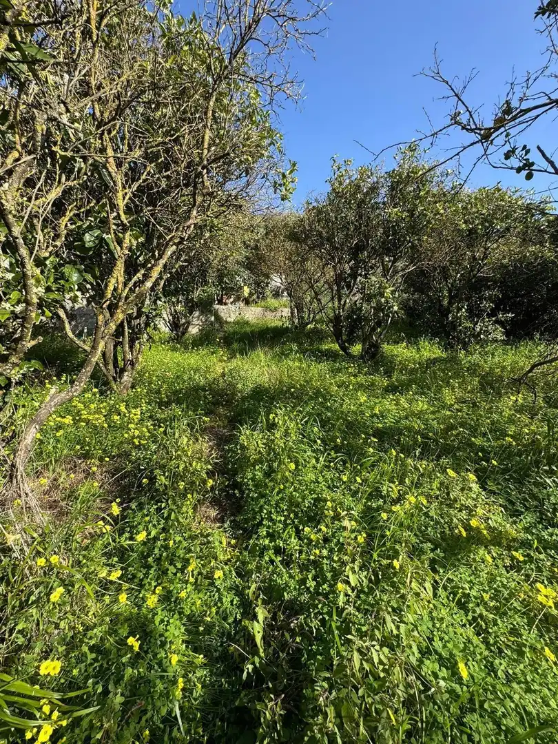 Maison à vendre à Firgas, imagen 20