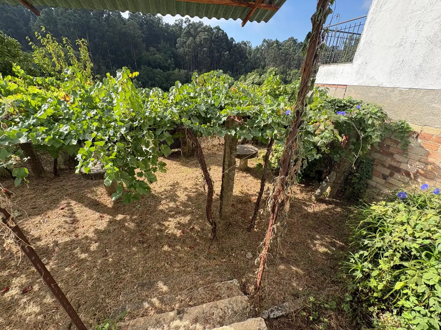 Garden of Houses for sale in Arbo  with Furnished