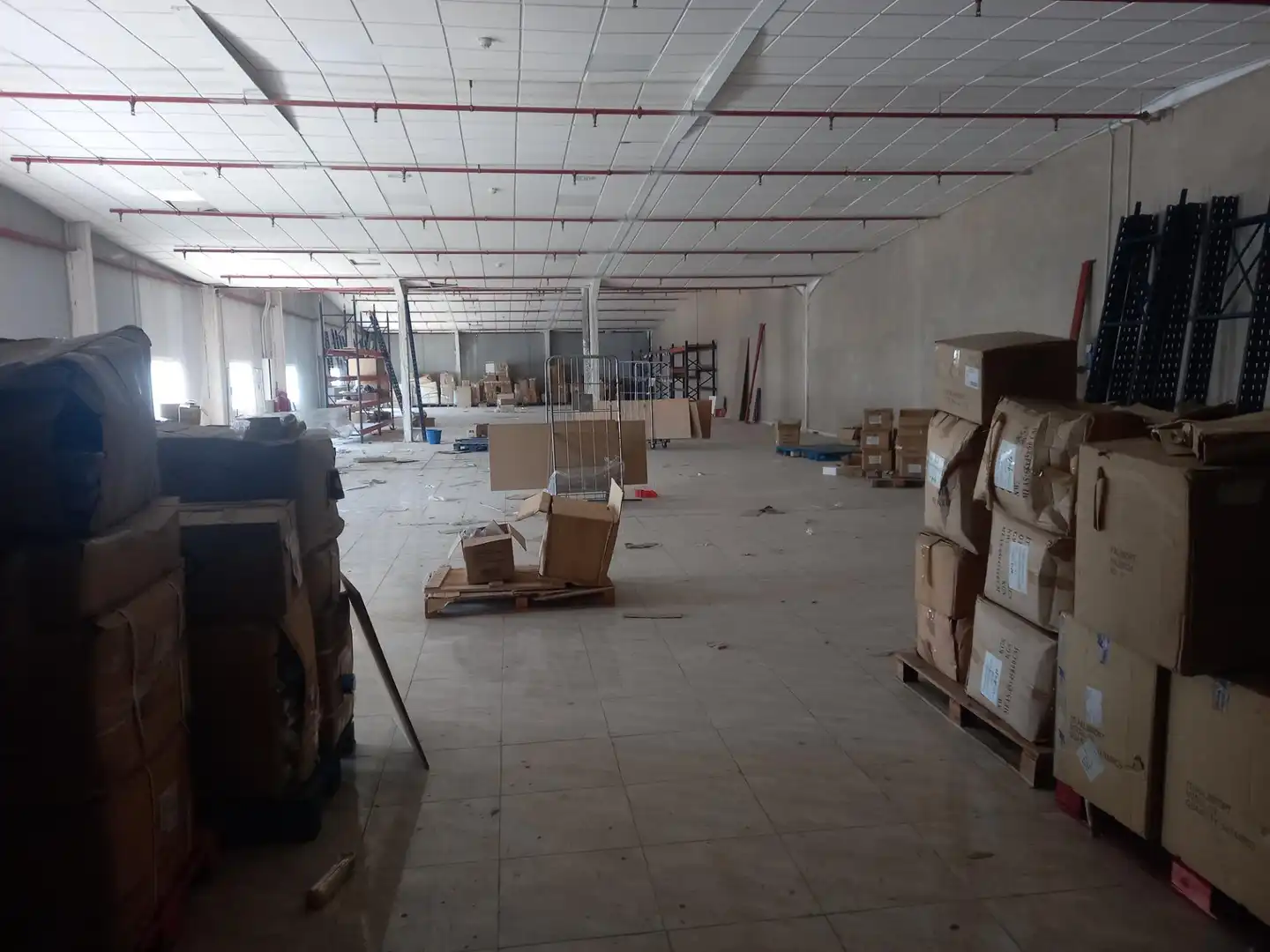 Industrial buildings for rent in Aspe