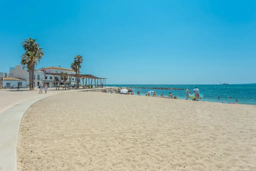 Terreny rústic en venda a Platja de Palma, imagen 7
